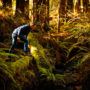 Estelle Clifton, registered professional forester and botanist with North Coast Resource Management (NCRM), gazes into one of the creeks in Lost Coast Redwoods.  Photo by Max Whittaker, courtesy of Save the Redwoods League.