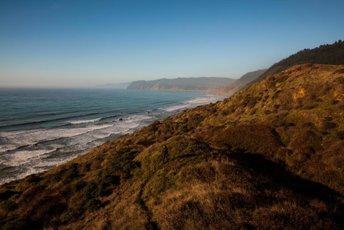 landscape vista of the rugged coastline, covered in a thick blanket of redwood trees.