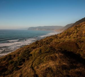 landscape vista of the rugged coastline, covered in a thick blanket of redwood trees.