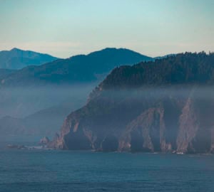A misty morning at Lost Coast Redwoods in northern Mendocino County. Coast redwoods drink water from the fog that rolls in off of the Pacific Ocean. Photo by Max Whittaker, courtesy of Save the Redwoods League.