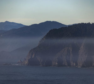 A misty morning at Lost Coast Redwoods in northern Mendocino County. Coast redwoods drink water from the fog that rolls in off of the Pacific Ocean. Photo by Max Whittaker, courtesy of Save the Redwoods League.