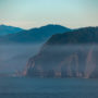 A misty morning at Lost Coast Redwoods in northern Mendocino County. Coast redwoods drink water from the fog that rolls in off of the Pacific Ocean. Photo by Max Whittaker, courtesy of Save the Redwoods League.