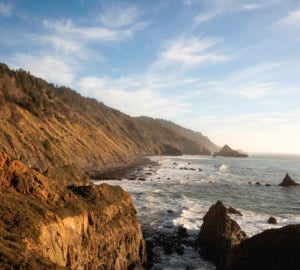 Lost Coast Redwoods could provide tribal communities and visitors access to a stretch of the California coast that has been privately owned and inaccessible for more than a century. Photo by Max Whittaker, courtesy of Save the Redwoods League.