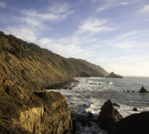 Lost Coast Redwoods could provide tribal communities and visitors access to a stretch of the California coast that has been privately owned and inaccessible for more than a century. Photo by Max Whittaker, courtesy of Save the Redwoods League.