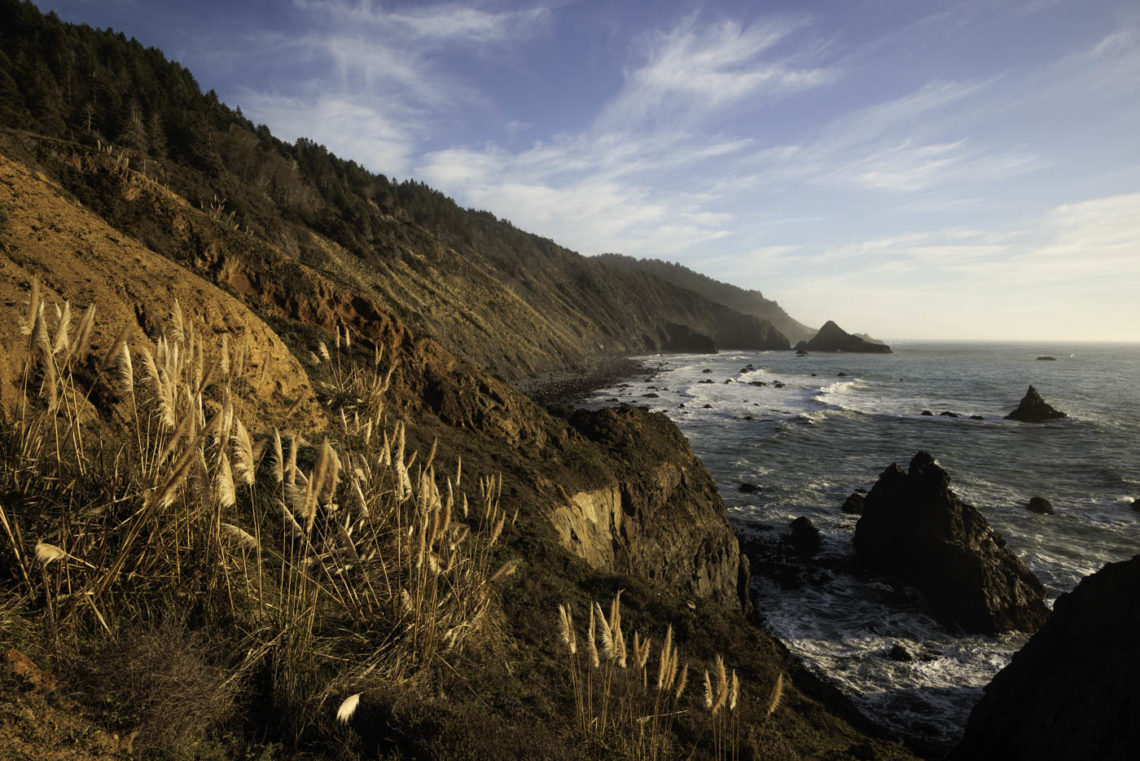 Coastline landscape