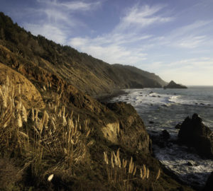 The rugged cliffs and rocky shores of the Lost Coast Redwoods property in Mendocino County. Save the Redwoods League recently secured an opportunity to protect the 3,100-acre Lost Coast Redwoods property with thousands of acres of coast redwoods and 5 miles of Northern California coastline. Photo by Max Whittaker, courtesy of Save the Redwoods League.