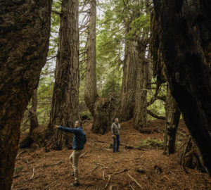 Save the Redwoods League President and CEO Sam Hodder (left) and North Coast Resource Management (NCRM) Vice President Todd McMahon (right) tour the Lost Coast Redwoods property on December 3, 2021. When protected, the second-growth coast redwood forest in Lost Coast Redwoods will be able to grow old again, all the while storing carbon to help fight climate change in California. This forest benefits the land, wildlife, and people in so many ways. Photo by Max Whittaker, courtesy of Save the Redwoods League.