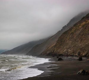The remoteness of the Lost Coast has helped to sustain rich biodiversity by providing safe, healthy habitat for terrestrial and marine species. Photo by Max Whittaker, courtesy of Save the Redwoods League.