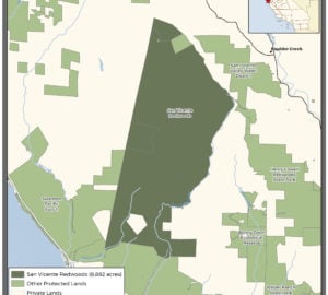 Map of San Vicente coast redwood range