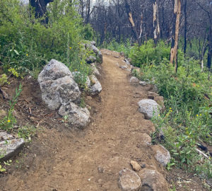 New trails open at San Vicente Redwoods