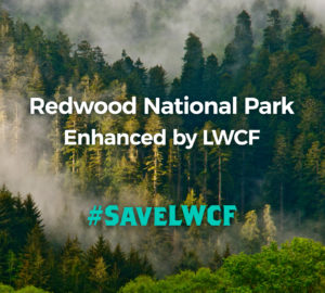 Redwood National Park ehanced by LWCF. #SaveLWCF