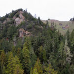 A large rock outcropping overlooks a forest of mature redwood trees