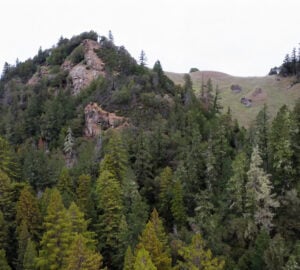 A large rock outcropping overlooks a forest of mature redwood trees