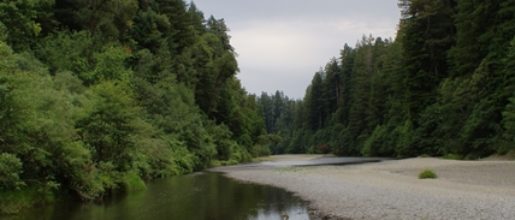 Scenic view of the Eel River.