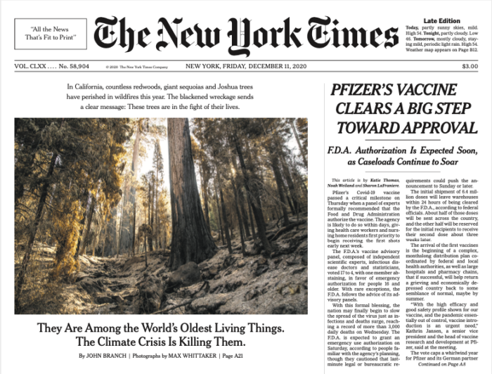Cover of the New York Times featuring a story about redwoods