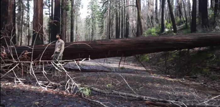 Big BAsin damage