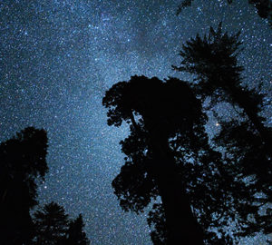 Crescent Meadow, Sequoia National Park. Photo Ming-yen Hsu at Flickr Creative Commons