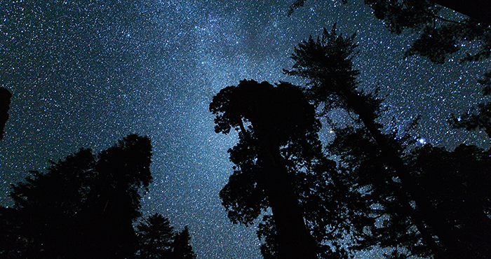 Crescent Meadow, Sequoia National Park. Photo Ming-yen Hsu at Flickr Creative Commons