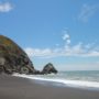 Beach at Shady Dell.