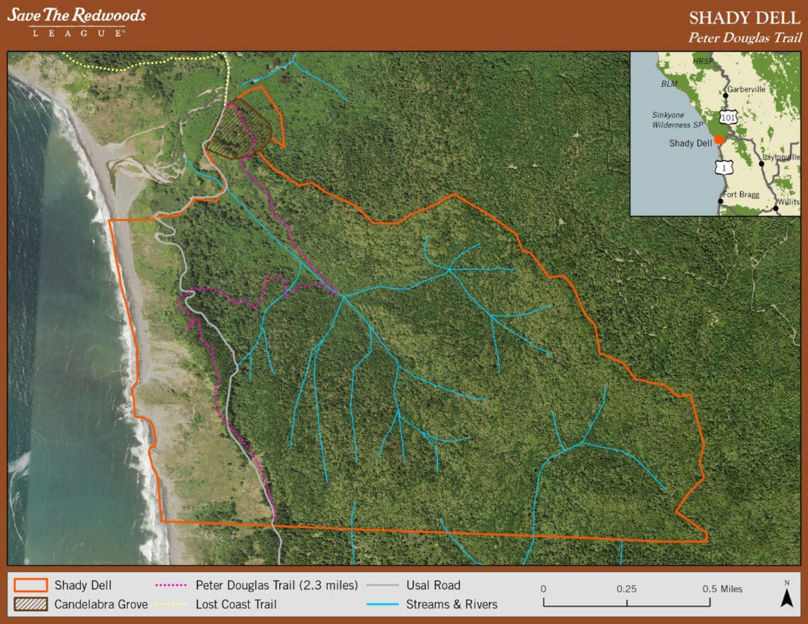 An aerial photo of a forest and beach showing boundaries and trails