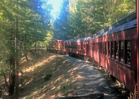 The Skunk Train