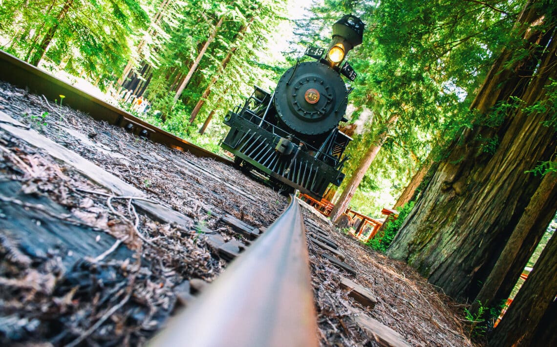 A vintage black locomotive heads through the redwoods and straight toward the camera