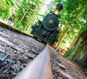 A vintage black locomotive heads through the redwoods and straight toward the camera