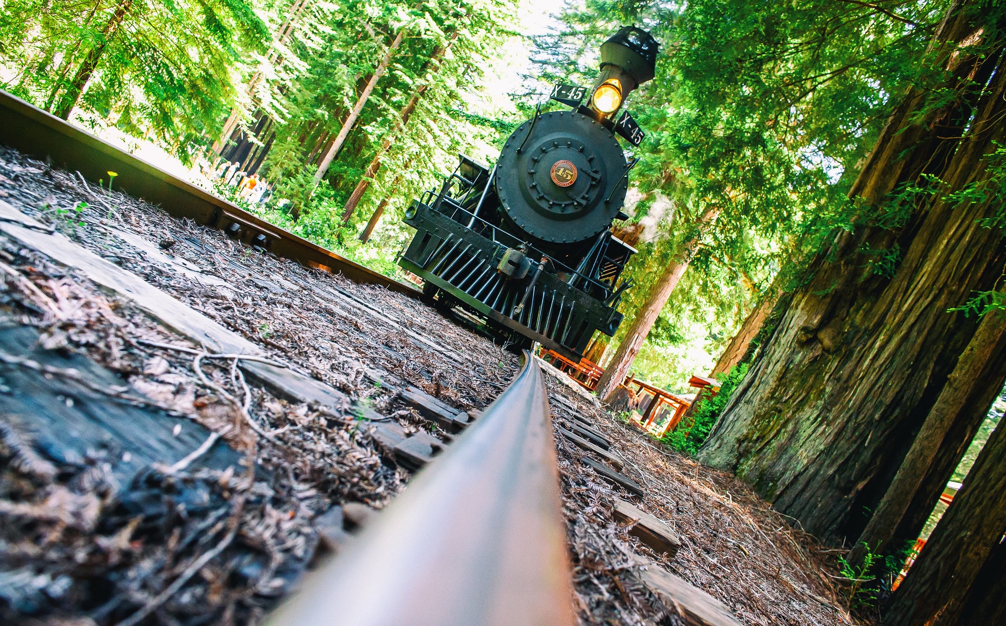 Young man looking out of train window on the historic steam engine