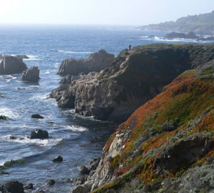 View from the Soberanes Trail.