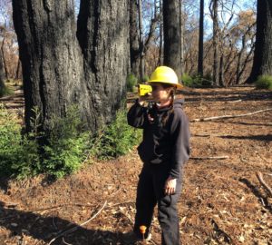 A woman wearing a yellow hard hat and looking through a scope in a sunny forest