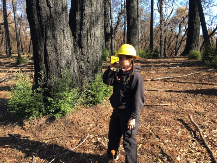 A woman wearing a yellow hard hat and looking through a scope in a sunny forest