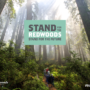 Stand for the Redwoods – Logo Box – 1200px