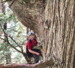 Stephen Sillett ventures into the redwood canopy