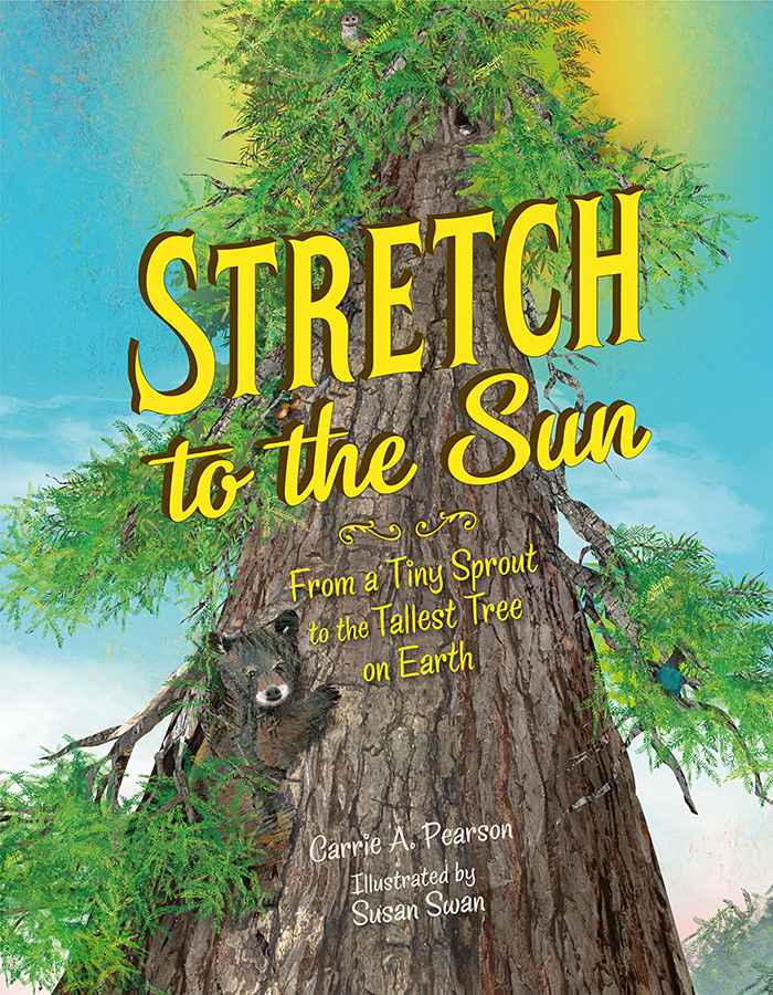 Stretch to the Sun: from a Tiny Sprout to the Tallest Tree on Earth By Carrie A. Pearson with illustrations by Susan Swan