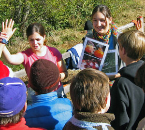 Salmon Protection and Watershed Network helps students learn about the ecological relationships between healthy redwood forests and salmon populations in Marin County. Photo by Paola Bouley