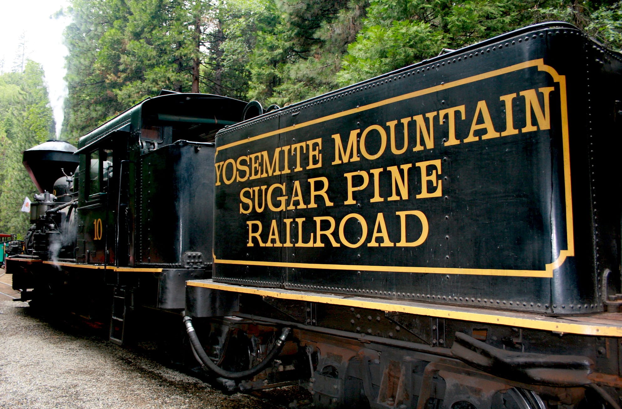 A black steam locomotive with the words Yosemite Mountain Sugar Pine Railroad in yellow on its side heads into the forest
