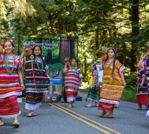 Indigenous dance at Summer in the Redwoods