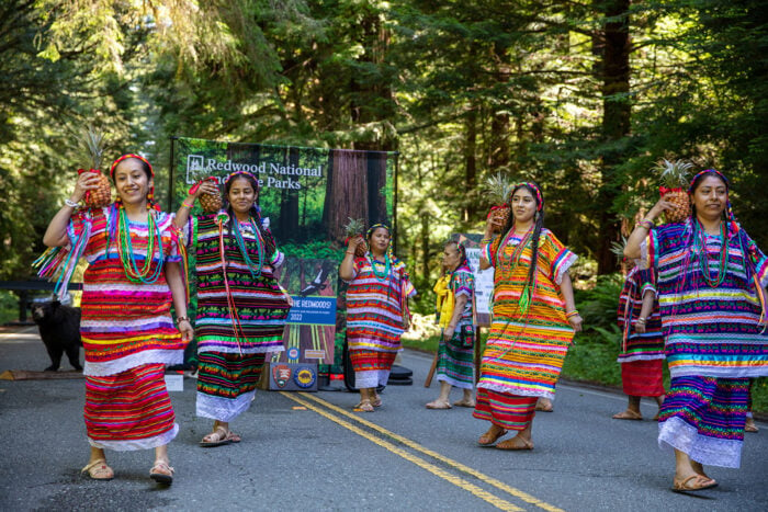 Indigenous dance at Summer in the Redwoods