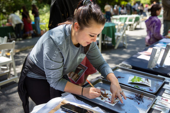 art summer in the redwoods