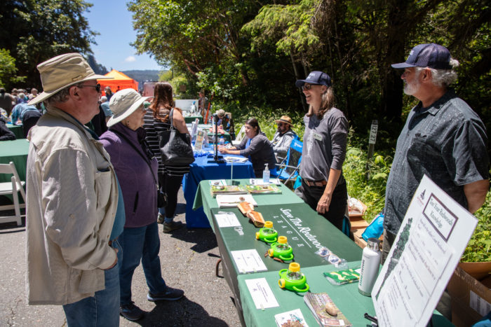 LEague staff summer in the redwoods