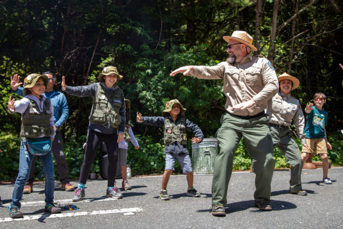 state park staff summer in the redwoods