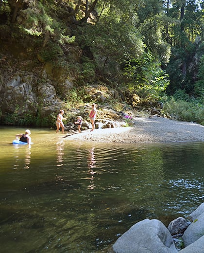 From Whales To Wildflowers 5 Spring Trips In The Redwoods Save