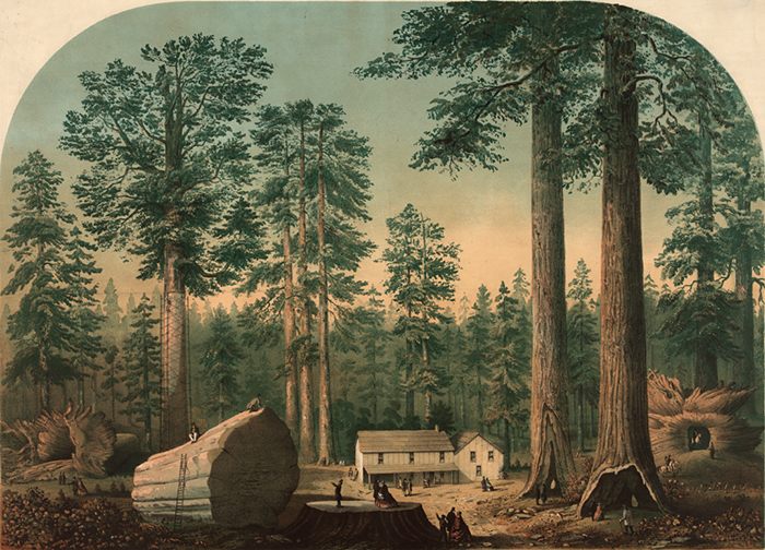 1840s-1860s