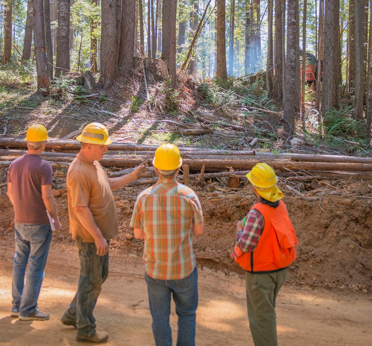 four men in construction helmets stand on a dirt road in a redwood forest while making assessments of a project site