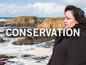 Martina Morgan, Vice Chairwoman of the Kashia Band of Pomo Indians, looks out over the rocky shoreline at Stewarts Point. Save the Redwoods League is granting a cultural easement to the Kashia, providing permanent access to their sacred lands for ceremonies on this coastal bluff. Photo by Mike Kahn