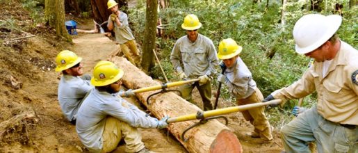 Trail crew builds retaining wall.