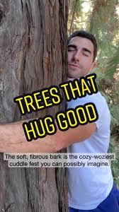 Author Tobin Mitnick hugs a coast redwood tree.