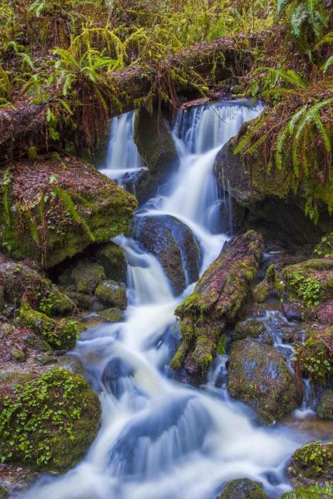 Waterfall cascading over mossy rocks