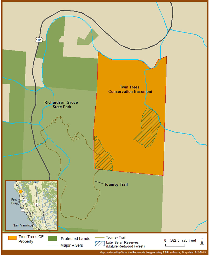 Map of Twin Trees