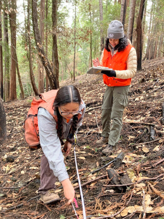 Two women of color wearing orange work vests standing in a redwoods forest collecting field data. One is holding a clipboard and pen, while the other appears to be taking measurements.